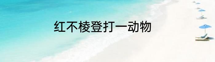 红不棱登打一动物