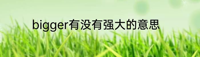 bigger有没有强大的意思