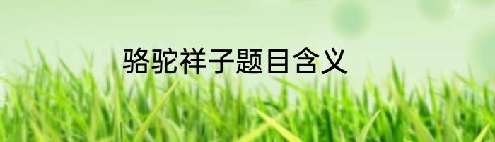 骆驼祥子题目含义