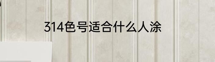 314色号适合什么人涂
