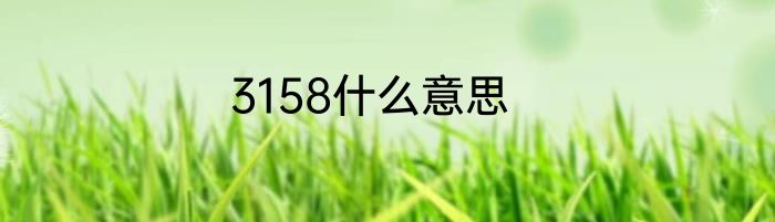 3158什么意思