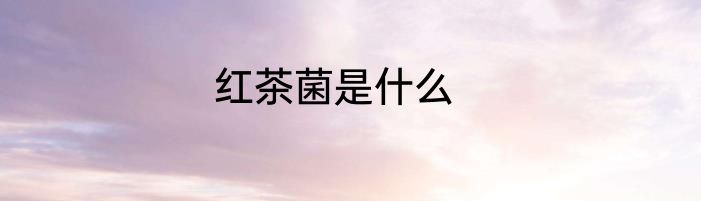 红茶菌是什么