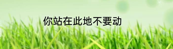 你站在此地不要动