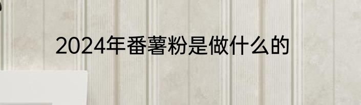2024年番薯粉是做什么的