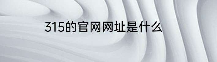 315的官网网址是什么