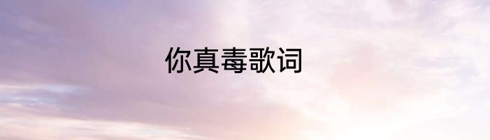 你真毒歌词