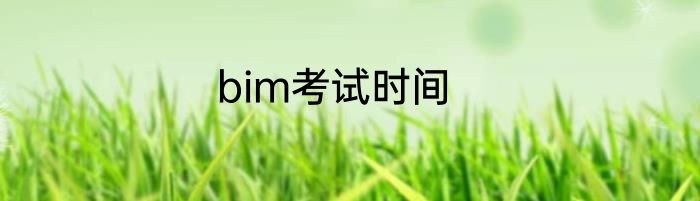 bim考试时间