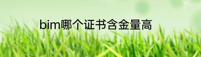 bim哪个证书含金量高