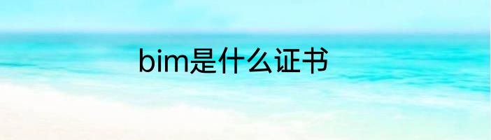 bim是什么证书