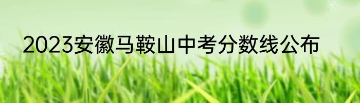 2023安徽马鞍山中考分数线公布