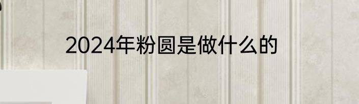 2024年粉圆是做什么的