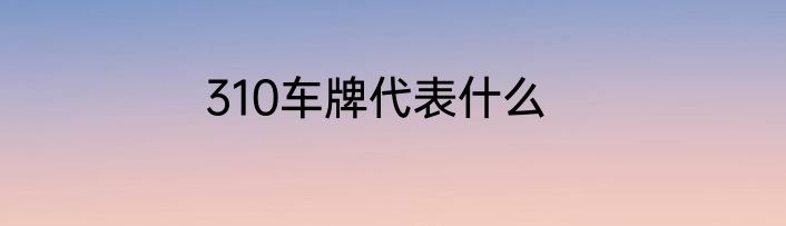 310车牌代表什么
