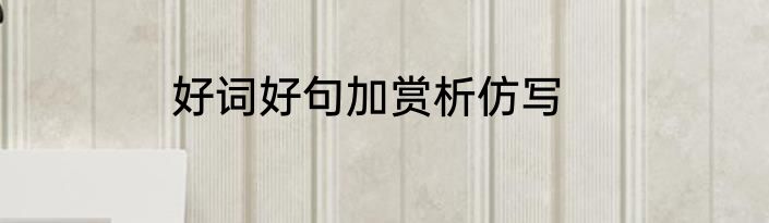 好词好句加赏析仿写