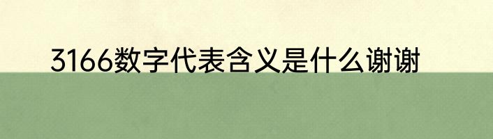 3166数字代表含义是什么谢谢