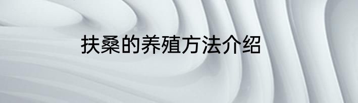 扶桑的养殖方法介绍