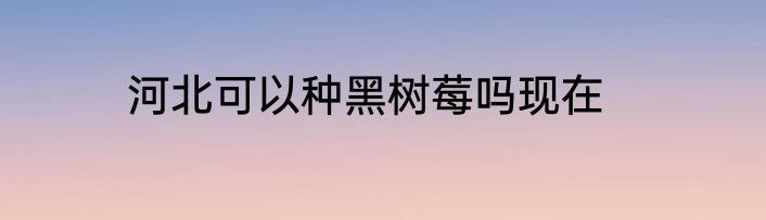 河北可以种黑树莓吗现在
