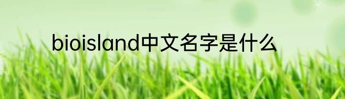 bioisland中文名字是什么