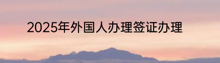 2025年外国人办理签证办理