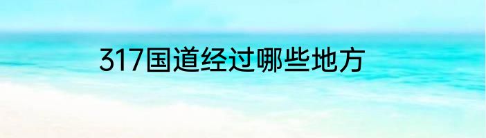 317国道经过哪些地方