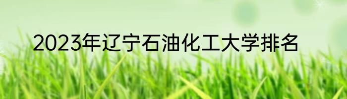 2023年辽宁石油化工大学排名