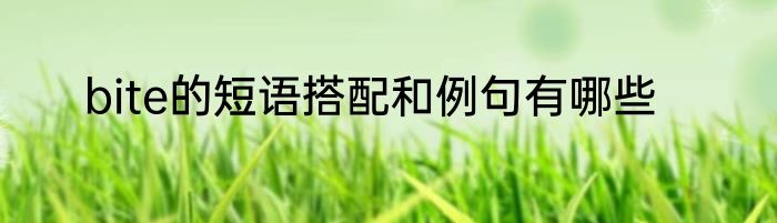 bite的短语搭配和例句有哪些