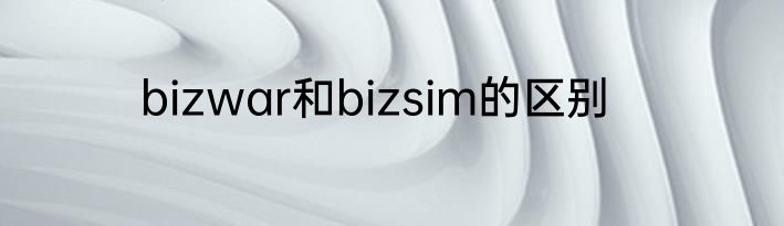 bizwar和bizsim的区别