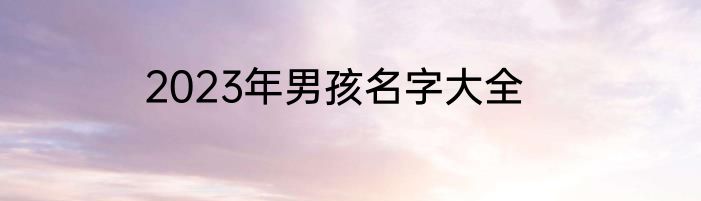 2023年男孩名字大全