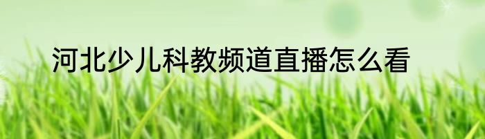 河北少儿科教频道直播怎么看
