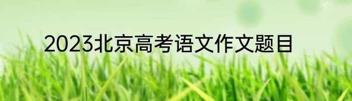 2023北京高考语文作文题目