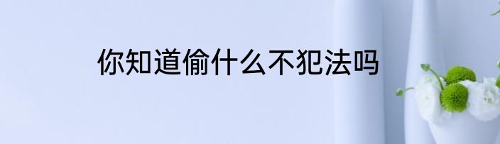 你知道偷什么不犯法吗