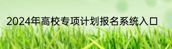 2024年高校专项计划报名系统入口