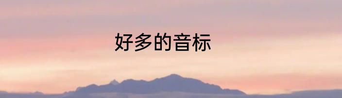 好多的音标