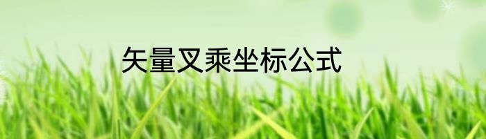 矢量叉乘坐标公式