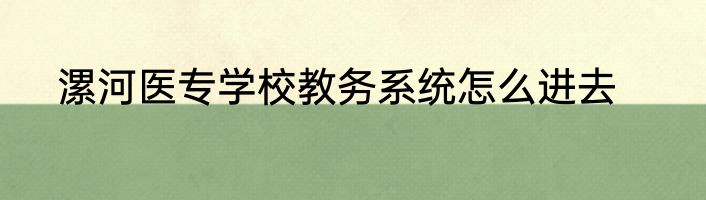 漯河医专学校教务系统怎么进去