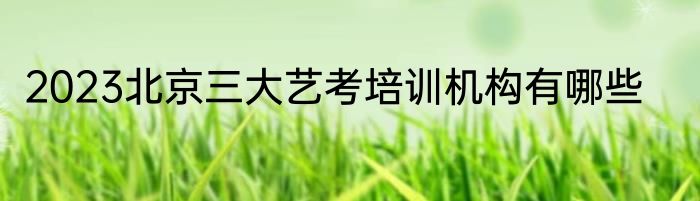 2023北京三大艺考培训机构有哪些