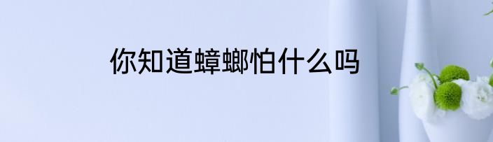 你知道蟑螂怕什么吗