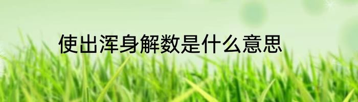 使出浑身解数是什么意思