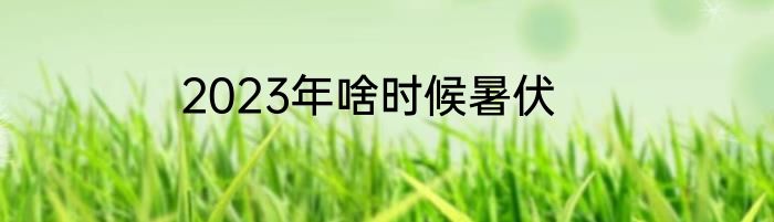 2023年啥时候暑伏