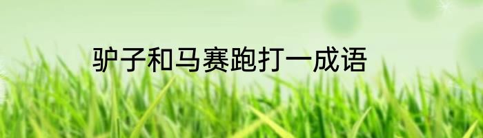 驴子和马赛跑打一成语