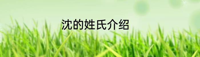 沈的姓氏介绍