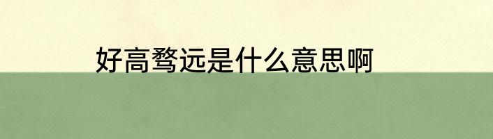 好高骛远是什么意思啊