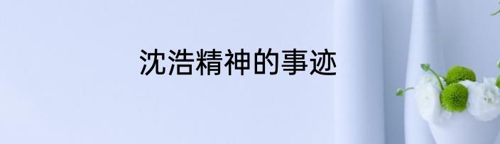 沈浩精神的事迹