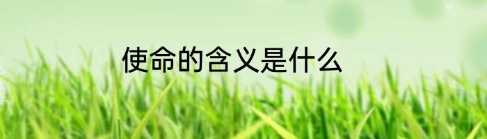 使命的含义是什么