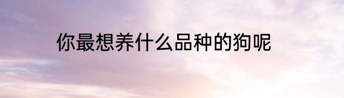 你最想养什么品种的狗呢