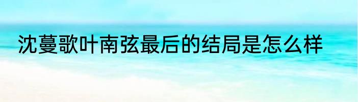 沈蔓歌叶南弦最后的结局是怎么样