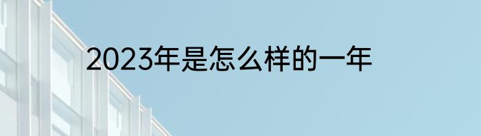 2023年是怎么样的一年