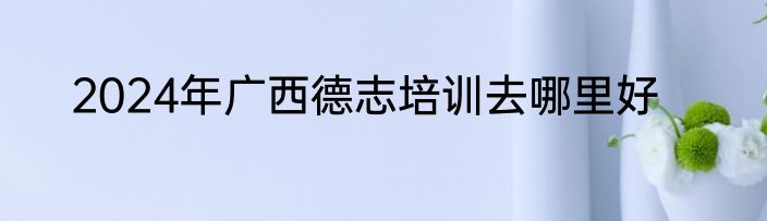 2024年广西德志培训去哪里好
