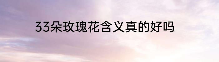 33朵玫瑰花含义真的好吗