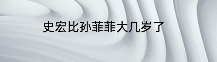 史宏比孙菲菲大几岁了