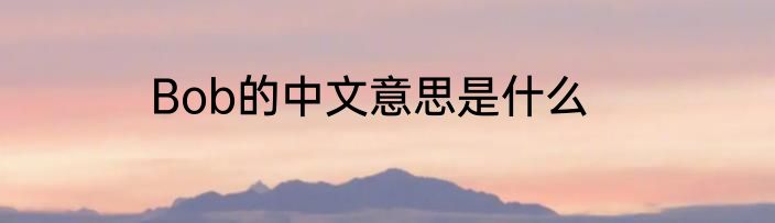 Bob的中文意思是什么